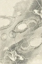 dywan-welniany-240x340-cm-kremowy-z-niskim-wlosem-do-salonu-prostokatny