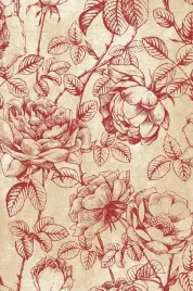 dywan-240x340-cm-czerwony-do-salonu-100percent-welna-gesty-prostokatny-agnella