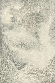 dywan-200x300-cm-szary-do-salonu-100percent-welna-gesty-prostokatny-agnella