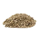 slonecznik-luskany-ziarno-naturalnie-swiezy-1kg-kod-producenta-slonecznik-luskany-ziarno-swiezy-1kg