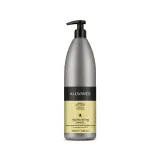allwaves-regenerating-szampon-odbudowujacy-1000ml