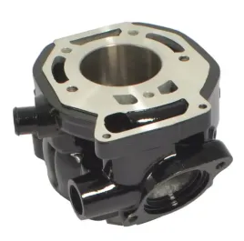 athena-cylinder-honda-mtx-r2h-125-ns-f-125-5600mm-nicasyl