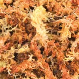 trixie-mech-torfowiec-100g-stan-nowy