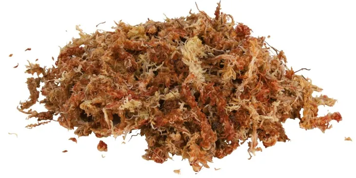 trixie-mech-torfowiec-100g-nazwa-handlowa-sphagnum-moos