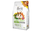 brit-animals-rabbit-adult-complete-3kg-karmy-specjalne-dla-doroslych-gryzoni-i-krolikow
