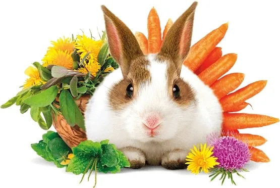 brit-animals-rabbit-adult-complete-3kg-cechy-dodatkowe-z-witaminami