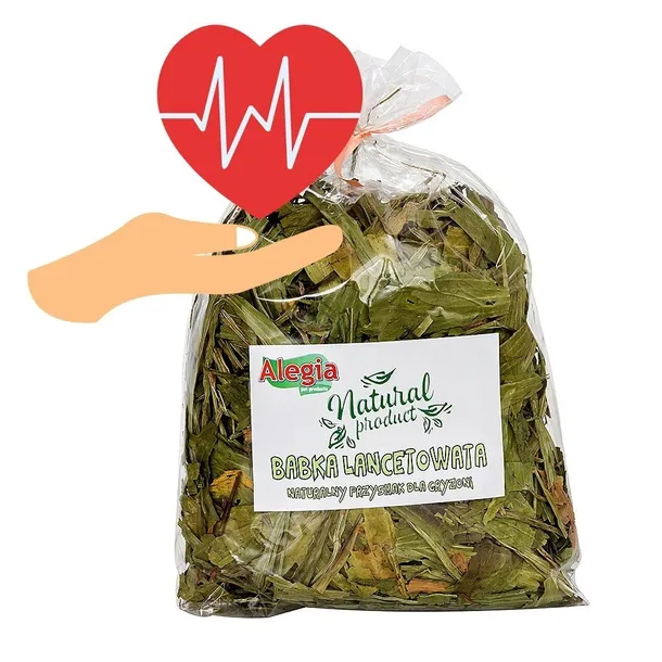alegia-babka-lancetowata-100g-marka-alegia