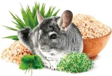 brit-animals-chinchilla-complete-15kg-rodzaj-karmy-karma