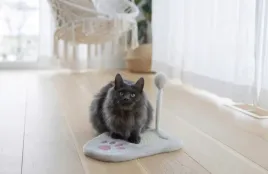 drapak-dla-kota-paw-36-cmm-bialo-rozowy-kerbl