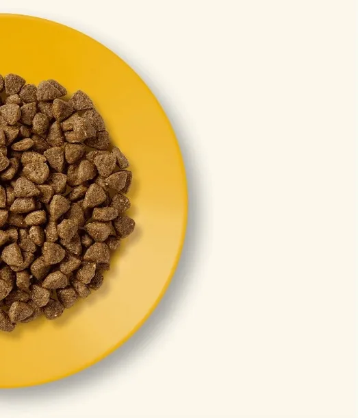 applaws-complete-dry-kitten-chicken-2kg-karmy-specjalne-nie-dotyczy
