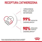 royal-canin-kitten-2kg-marka-royal-canin-wiek-zwierzecia-kocieta-i-mlode-koty