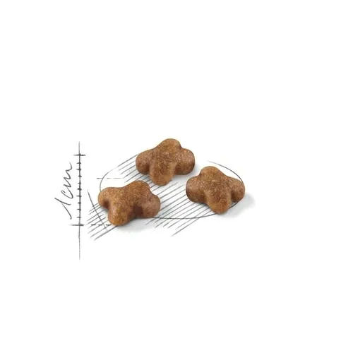 royal-canin-kitten-2kg-marka-royal-canin-rodzaj-karmy-bio