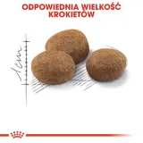 royal-canin-sterilised-7-10kg-wiek-zwierzecia-koty-starsze