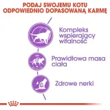 royal-canin-sterilised-7-10kg-rodzaj-karmy-bio