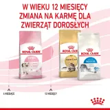 royal-canin-kitten-4kg-stan-nowy