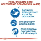 royal-canin-indoor-27-4kg-stan-nowy