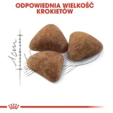 royal-canin-indoor-27-4kg-liczba-sztuk-w-opakowaniu-1-szt