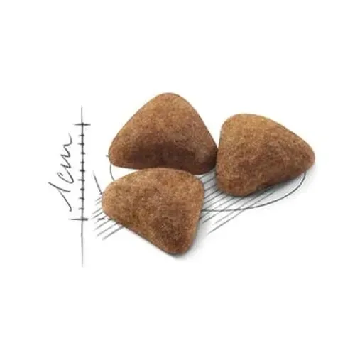 royal-canin-indoor-27-4kg-marka-royal-canin-rodzaj-karmy-z-prebiotykiem