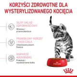 royal-canin-kitten-sterilised-400g-rodzaj-karmy-bio