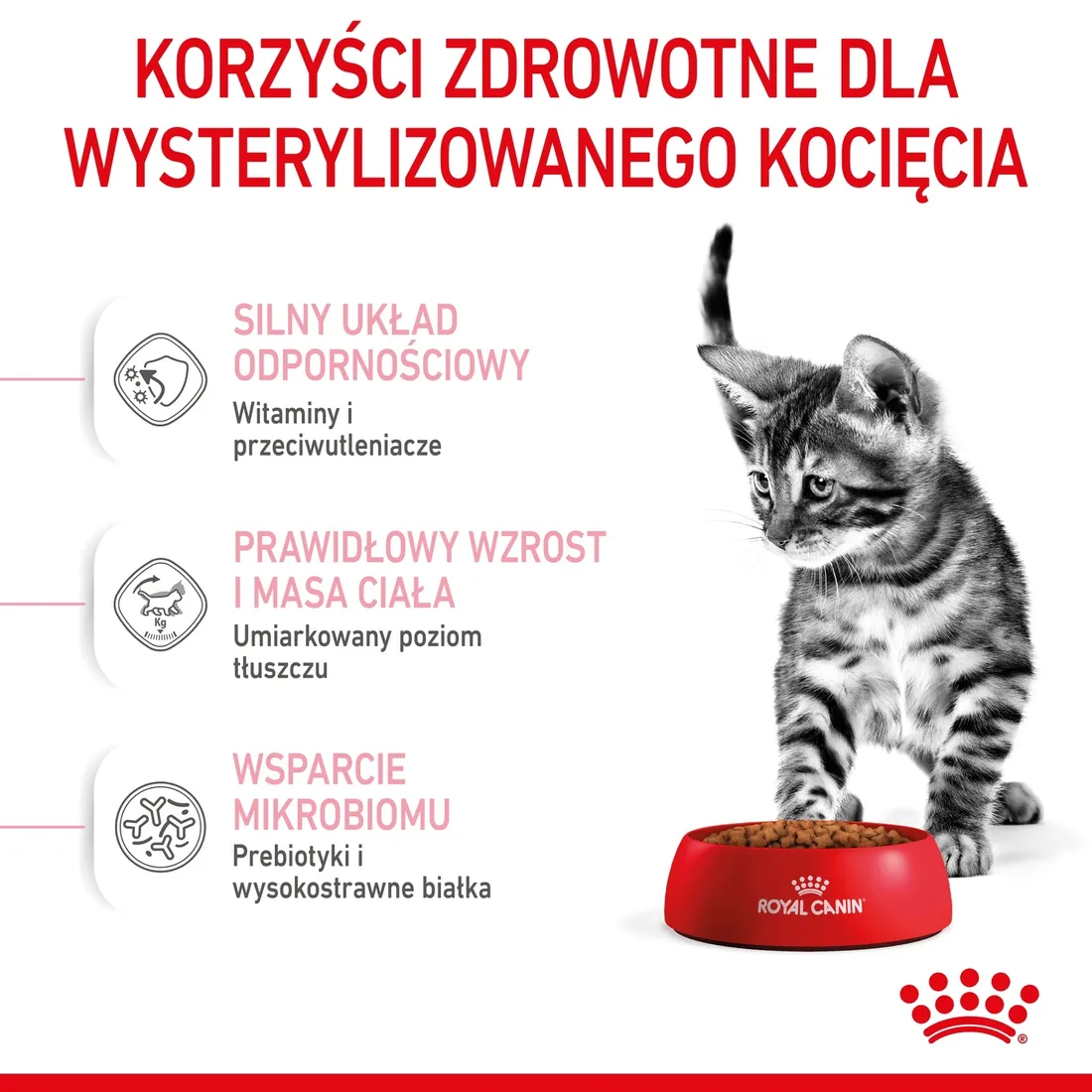 royal-canin-kitten-sterilised-400g