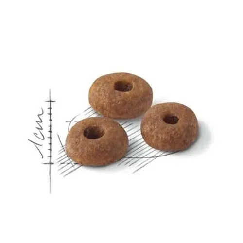 royal-canin-fit-32-10kg-marka-royal-canin-wiek-zwierzecia-koty-dorosle