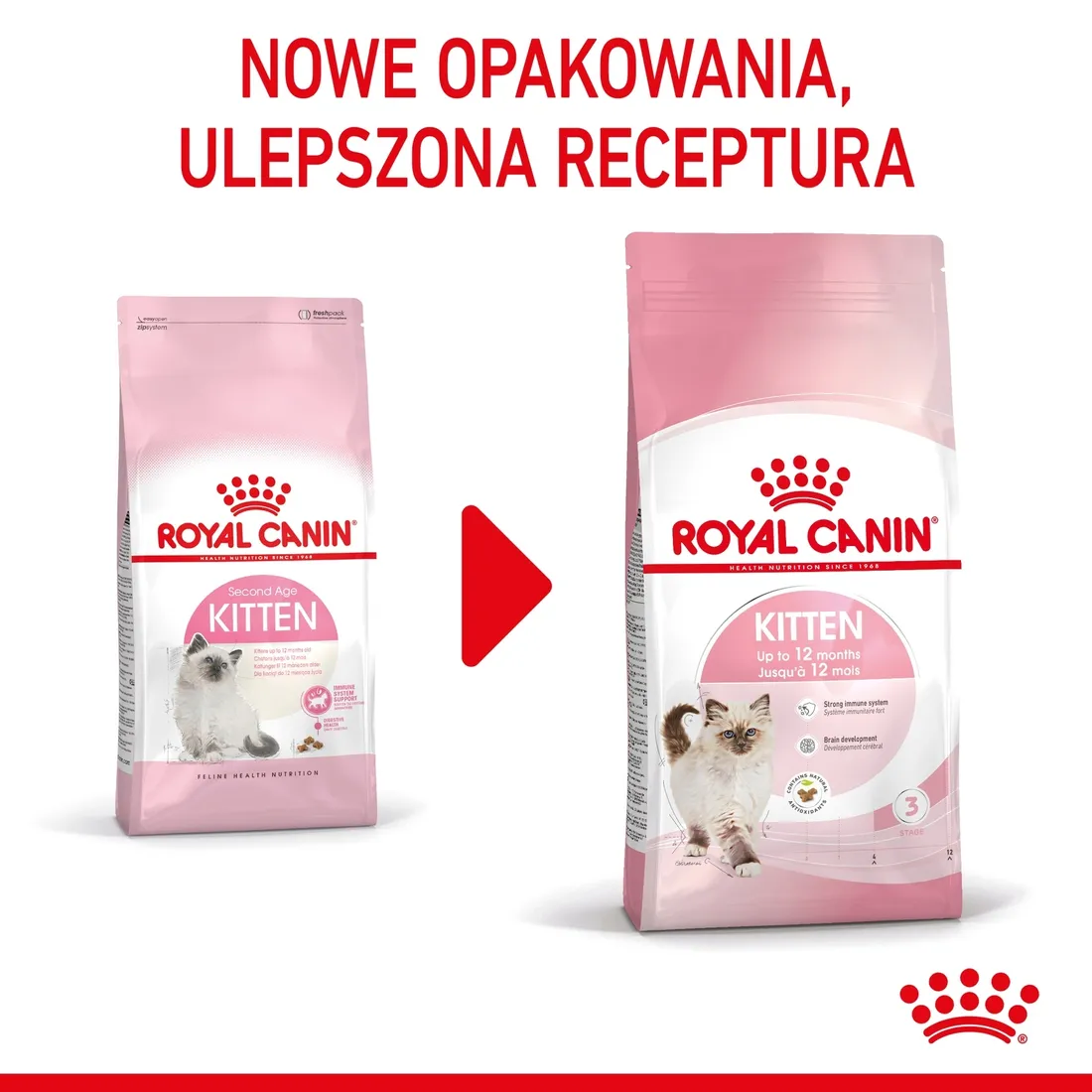 royal-canin-kitten-10kg-marka-royal-canin