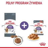 royal-canin-appetite-control-care-400g-liczba-sztuk-w-opakowaniu-1-szt