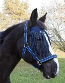 naczolek-z-fredzelkami-dla-konia-granatowy-roz-pony-covalliero