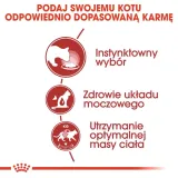 royal-canin-instinctive-gravy-12x85g-rodzaj-opakowania-saszetka