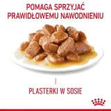 royal-canin-digest-sensitive-12x85g-rodzaj-karmy-z-prebiotykiem