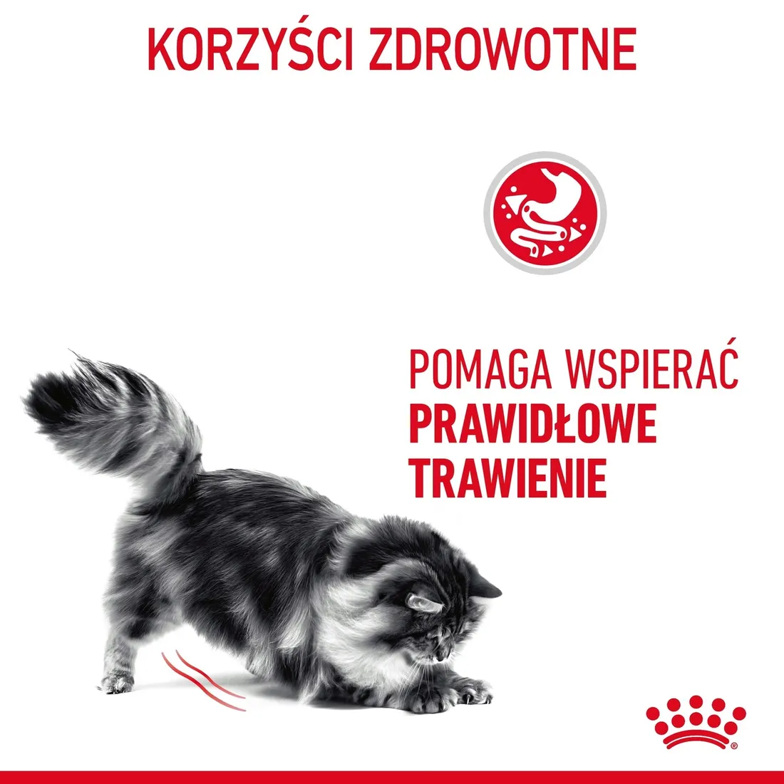 royal-canin-digest-sensitive-12x85g-marka-royal-canin