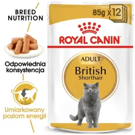 royal-canin-british-shorthair-adult-12x85g