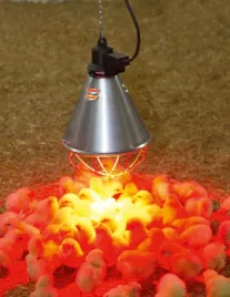 oprawa-promiennika-kabel-50-m-230-v-kerbl