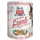 brit-care-cat-snack-superfruits-lamb-100g-rodzaj-chrupiacy