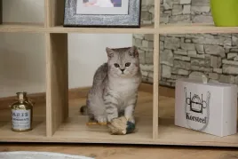 zabawka-dla-kota-piszczaca-myszka-z-pluszu-15-cm-kerbl