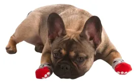 skarpety-dla-psa-bruno-4-x-105-cm-l-kerbl