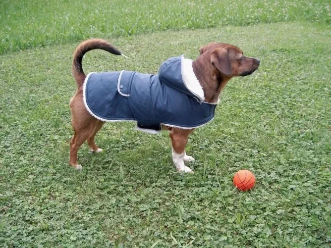 plaszcz-dla-psa-teddy-48-cm-kerbl-stan-nowy-rodzaj-kurteczka