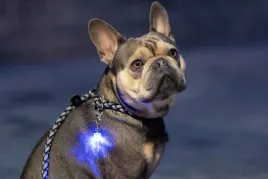 zawieszka-swiecaca-do-obrozy-maxi-safe-25-cm-x-15-cm-kerbl