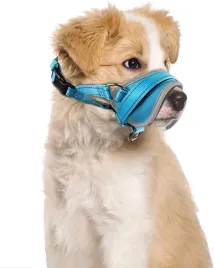 kaganiec-dla-psa-regulowany-materialowy-r-s