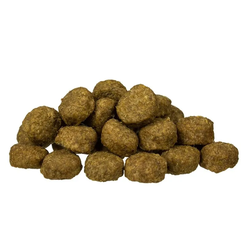 bosch-junior-lamb-and-rice-15kg