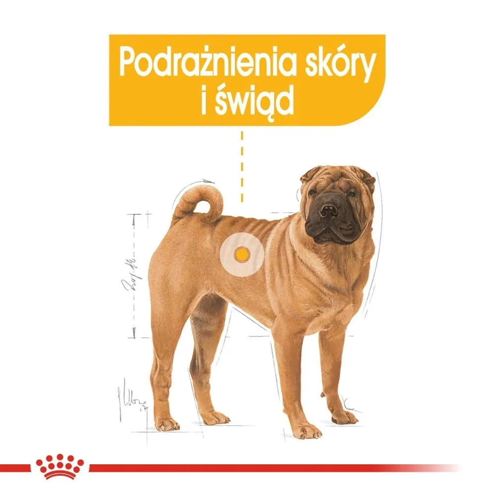 royal-canin-ccn-medium-dermacomfort-12kg