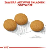 royal-canin-ccn-medium-dermacomfort-12kg-rodzaj-karmy-hipoalergiczna