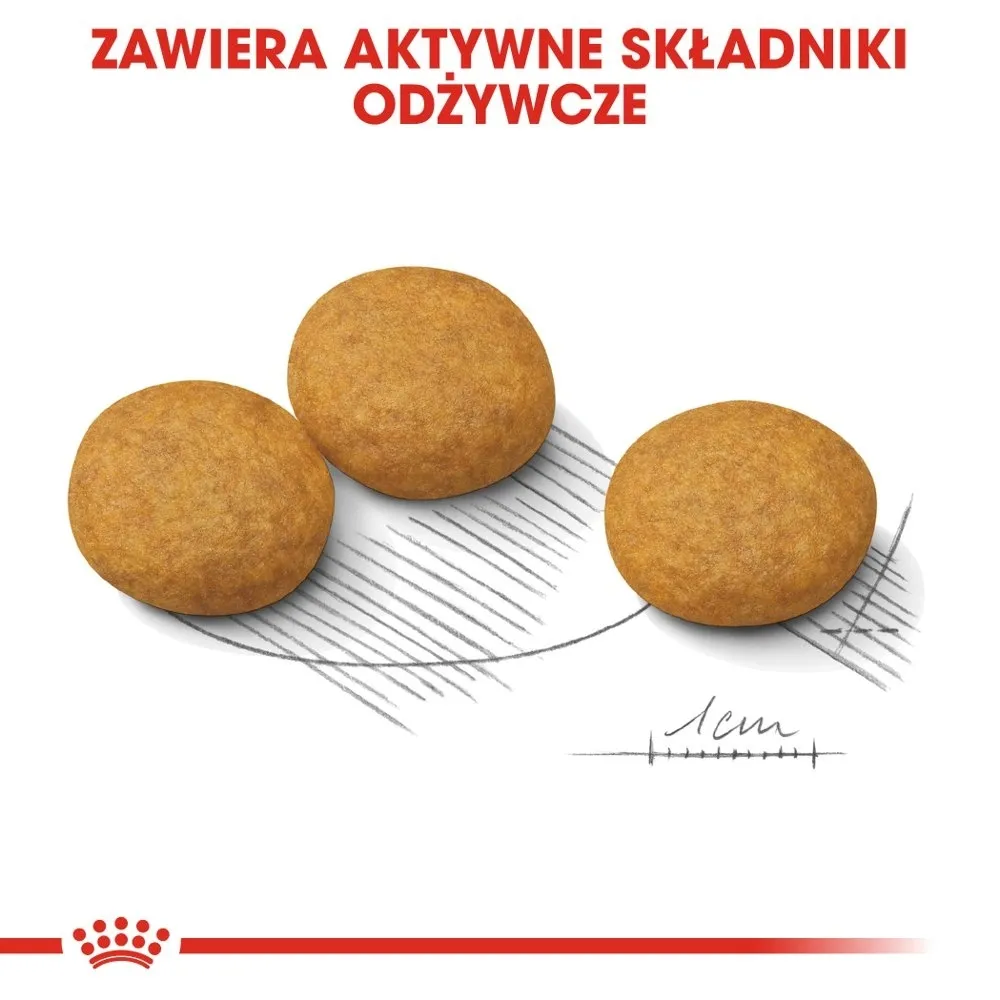 royal-canin-ccn-medium-dermacomfort-12kg