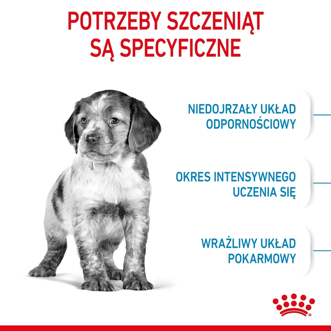 royal-canin-medium-puppy-15kg