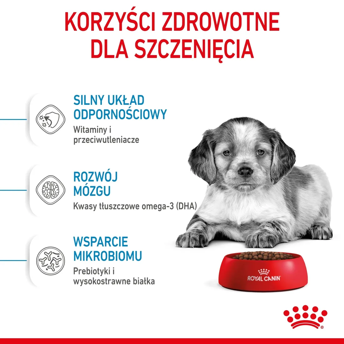 royal-canin-medium-puppy-15kg-marka-royal-canin