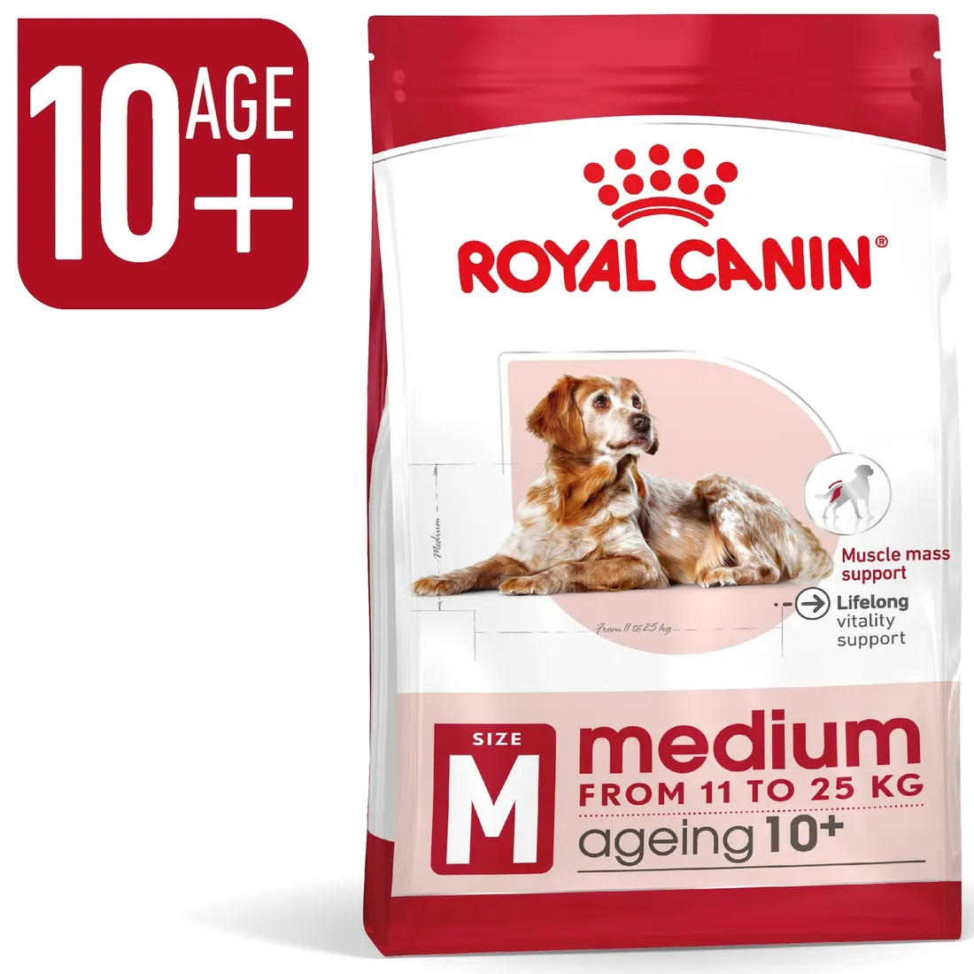 royal-canin-medium-ageing-10-15kg