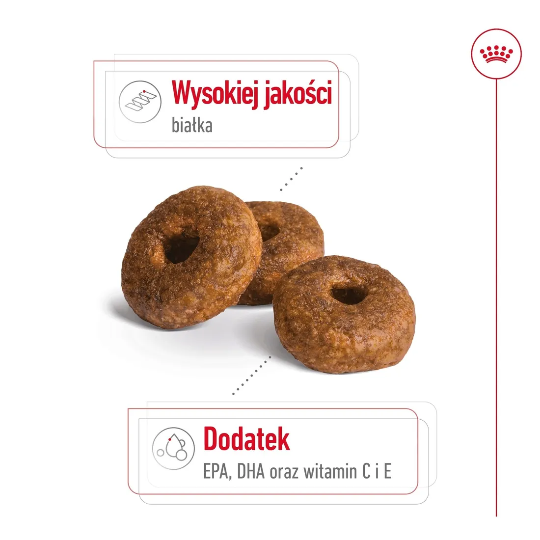 royal-canin-medium-ageing-10-15kg
