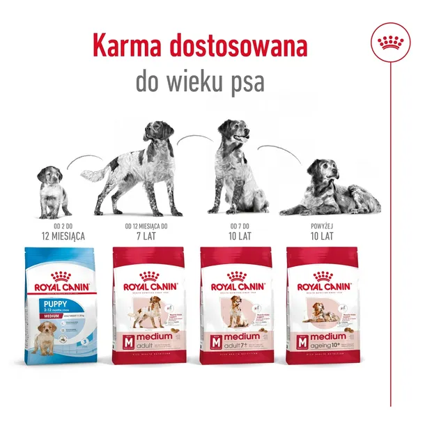 royal-canin-medium-ageing-10-15kg-wielkosc-psa-rasy-srednie-10-25-kg