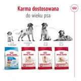 royal-canin-medium-ageing-10-15kg-wielkosc-psa-rasy-srednie-10-25-kg