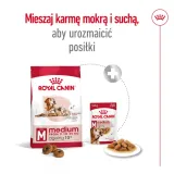 royal-canin-medium-ageing-10-15kg-stan-nowy